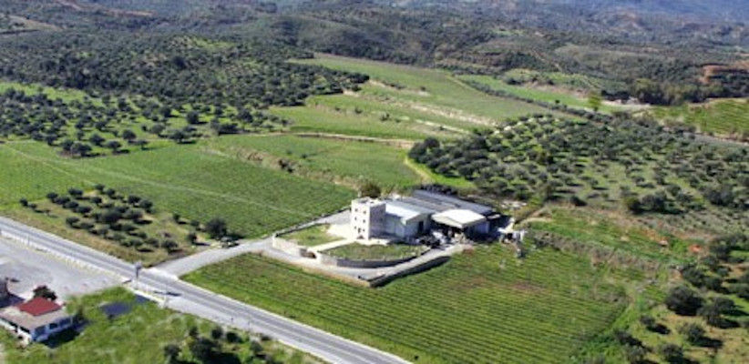 top view of 'Theodorakakos Estate winery' with the building, trees, vineyards and road